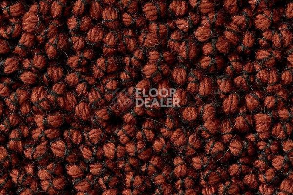 Ковролин Best Wool Nature Vivaldi I-AB Flavoured Cayenne фото 1 | FLOORDEALER
